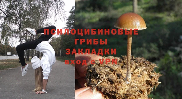 мдпв Липки