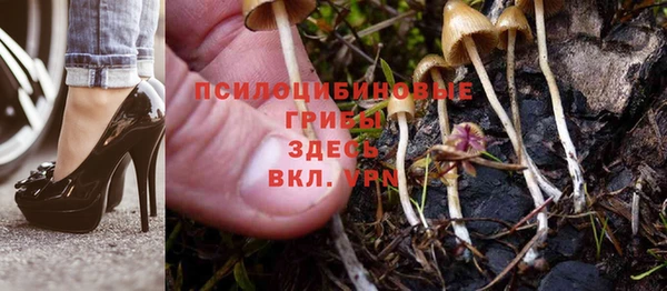 экстази Лиски