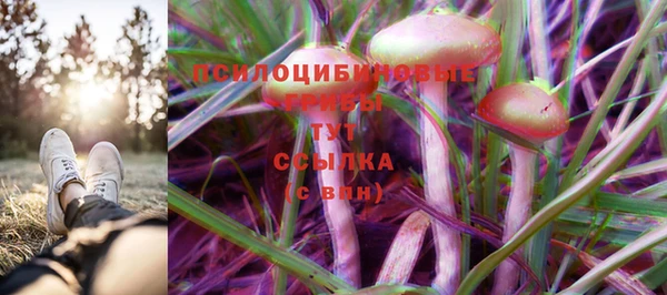 крисы Лихославль