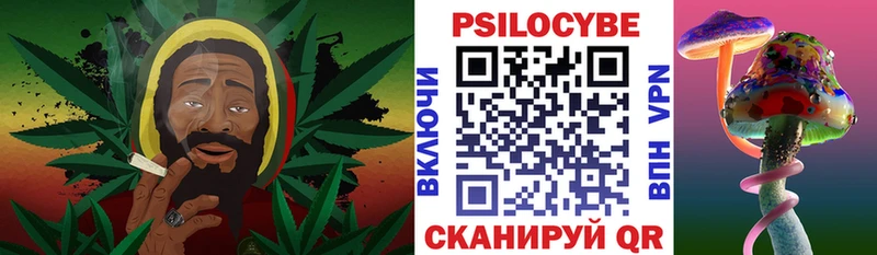 Псилоцибиновые грибы Magic Shrooms  Тогучин 